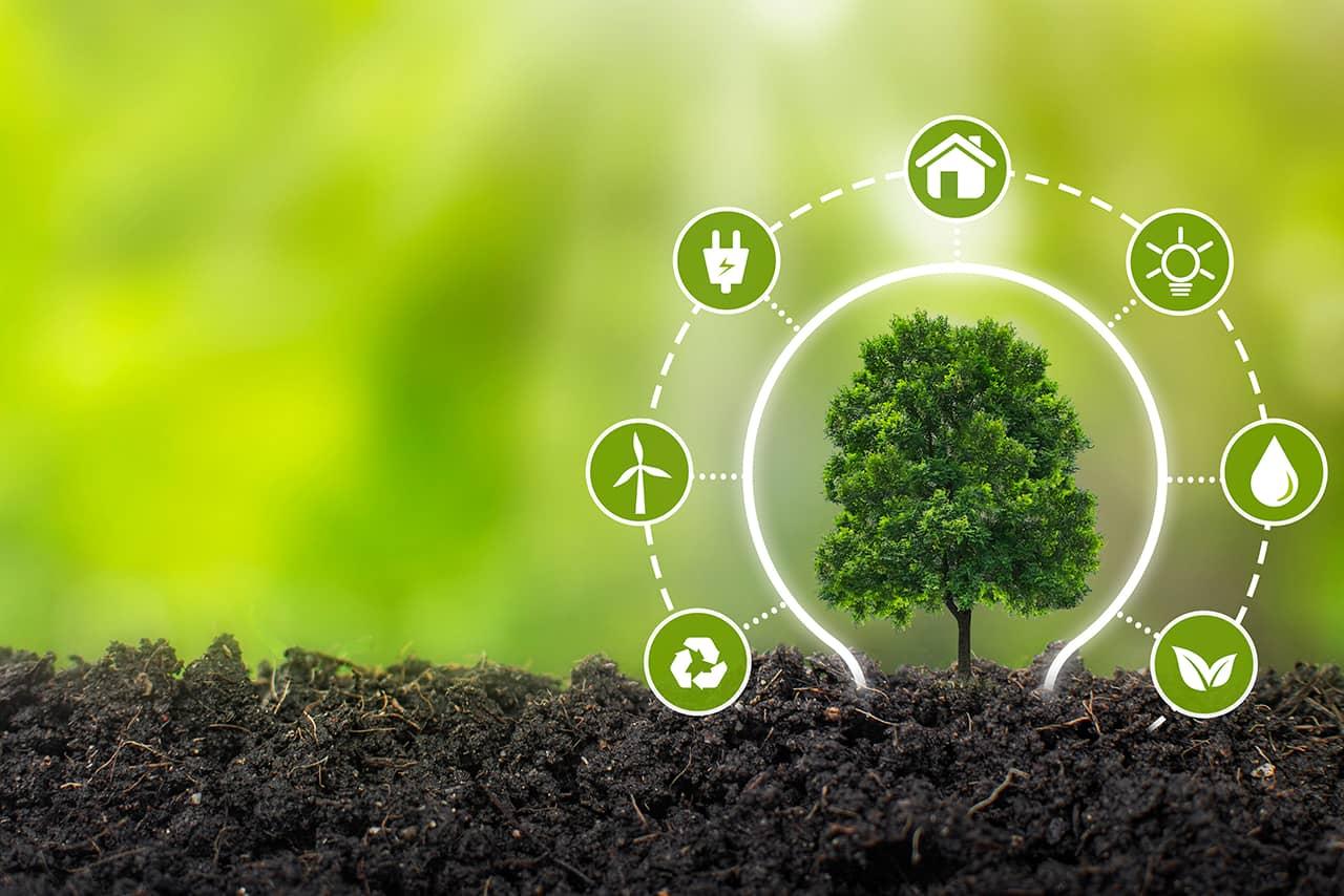 La transición hacia una movilidad sostenible y sus implicaciones económicas